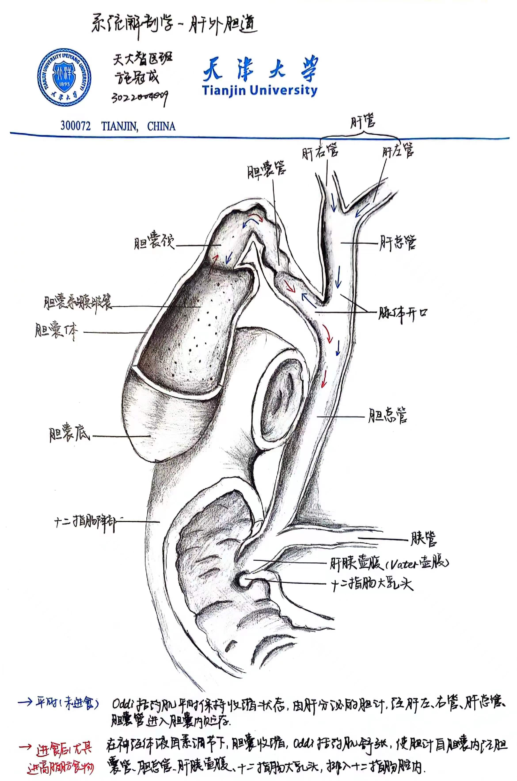 16-医学院施冠成.png