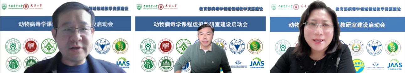 图片3 图片3.jpg